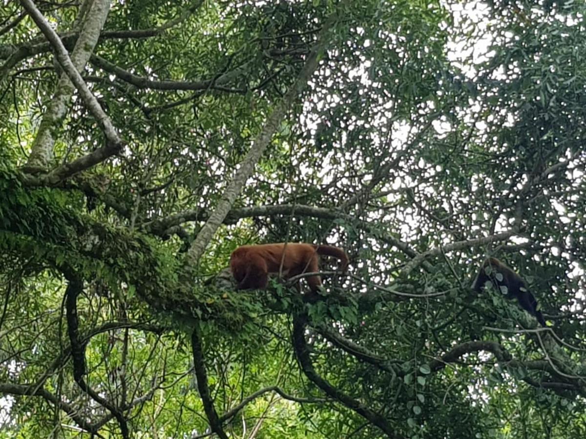 Parque Do Sesi Canela 빌라 외부 사진